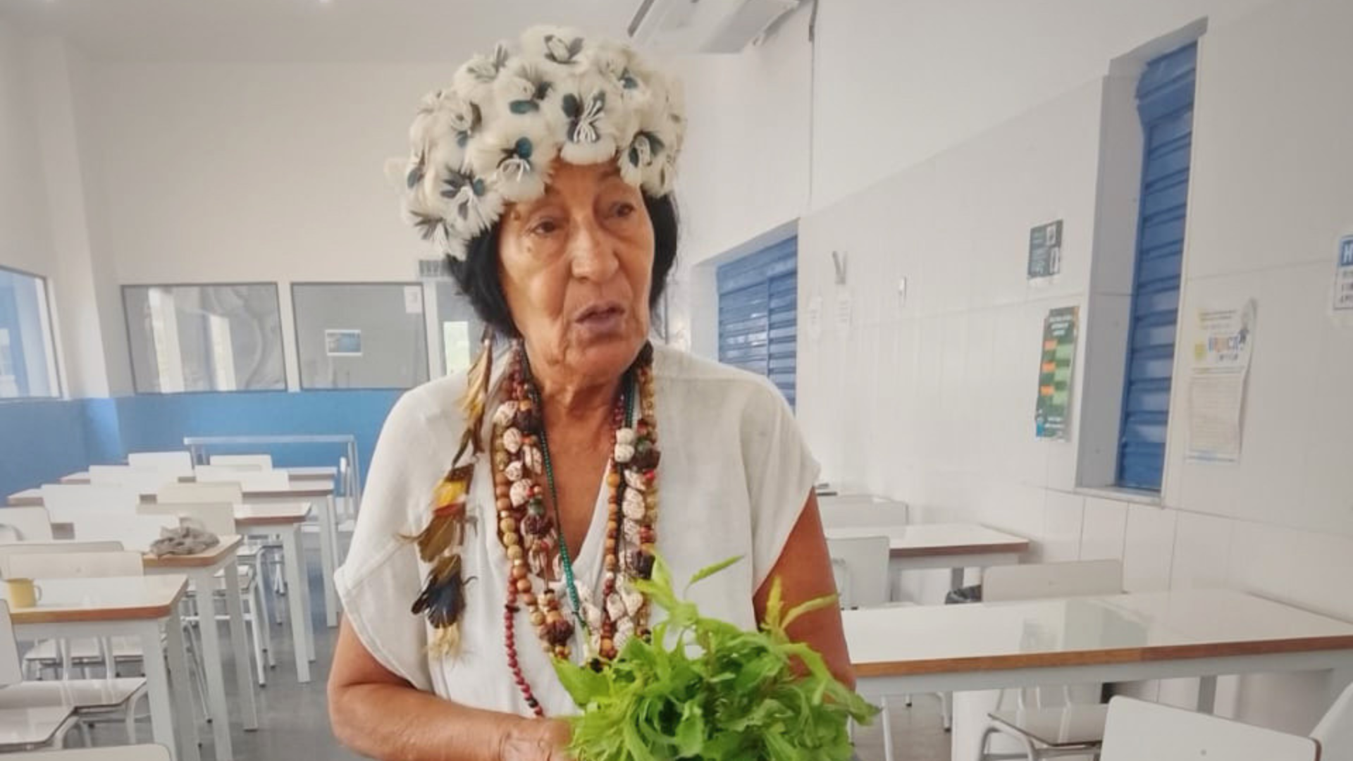 Sustentabilidade e Meio Ambiente com Niara do Sol